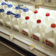 Image for article titled Woefully Misguided Man Stocking Up On Gallons Of Milk For Armageddon